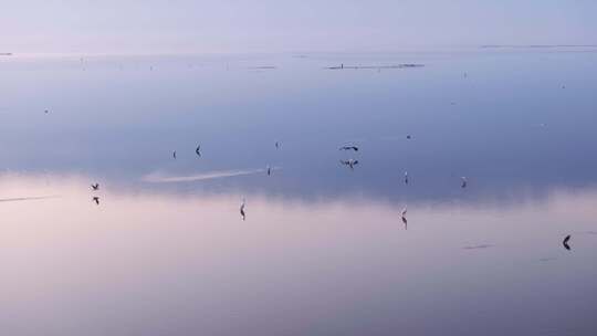 天空之境黄河入海口湿地日出