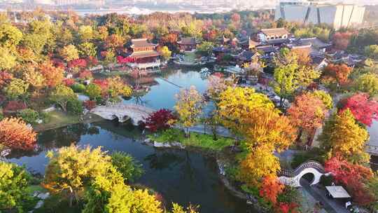 申园秋景 上海秋景 园林 世博文化公园