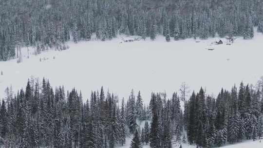 航拍新疆喀纳斯雪原上的牧民房屋