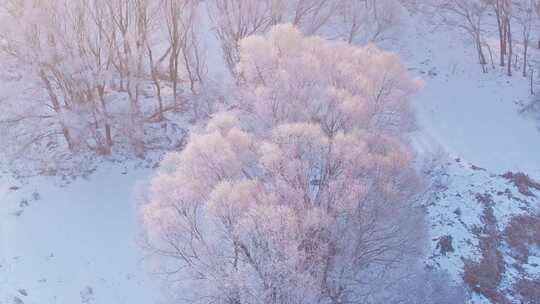 东北冬季雾凇树挂洁白唯美雪景航拍