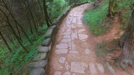 蜀道森林步道