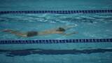 游泳池里游泳的运动人们高清在线视频素材下载