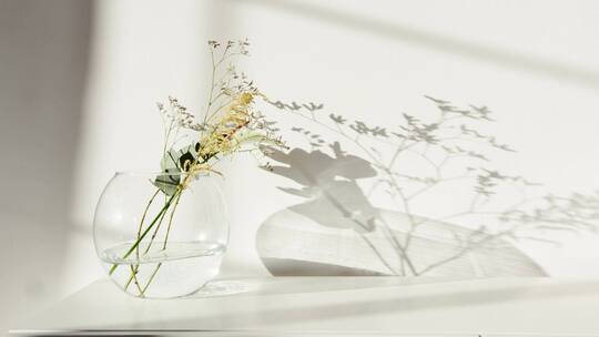 装水的玻璃花瓶视频素材模板下载