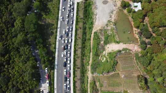 广东东莞：节日期间银瓶山森林公园的车龙