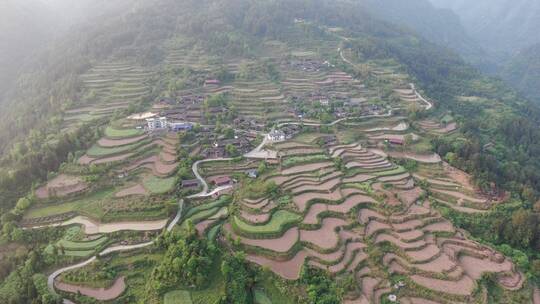 航拍农业种植梯田