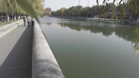 北京故宫护城河杨柳意境4K实拍