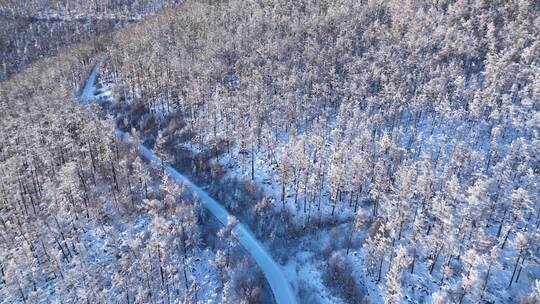 大兴安岭原始森林高山雾凇