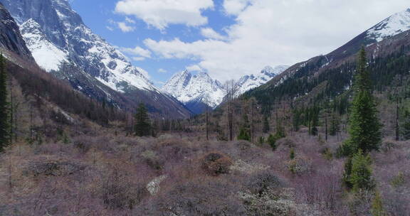 著名风景区四姑娘山双桥沟航拍秋天风景