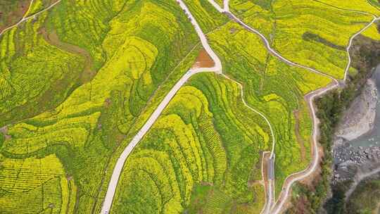 湖北恩施5A景区大峡谷绝壁花海航拍