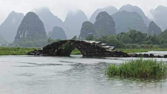 水边石拱桥旁的水牛和戴帽农民