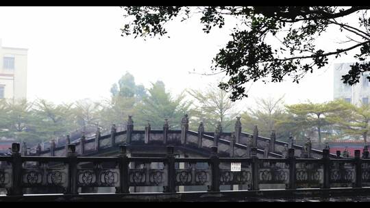 广东雷州半岛石桥