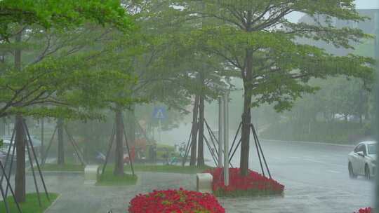 暴雨升格慢动作细节视频