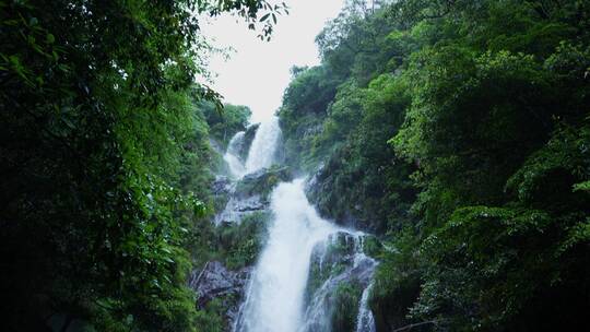 高清4K降水雨季山泉瀑布流水升格视频素材