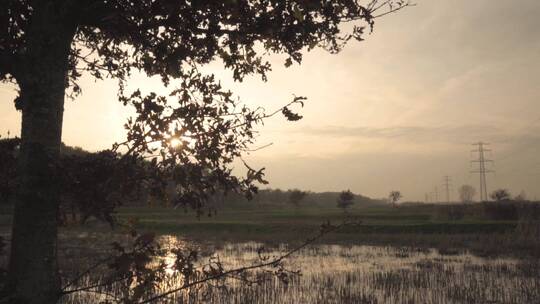 沼泽地上的日落视频素材模板下载