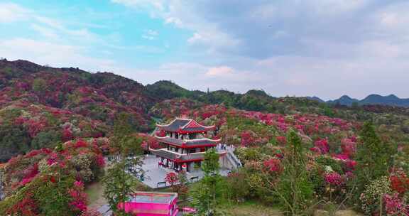 贵州毕节百里杜鹃景区航拍