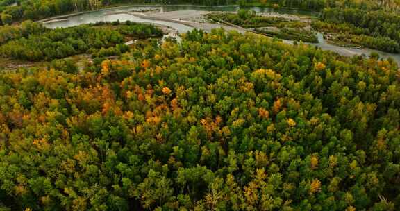 秋天的森林河流