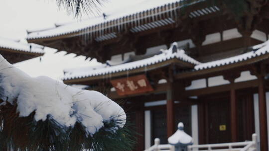 辽宁沈阳冬季古建筑舍利塔公园雪景风景视频素材模板下载