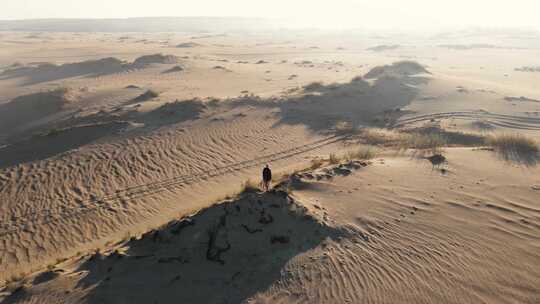 一个人在沙漠中行走视频素材模板下载