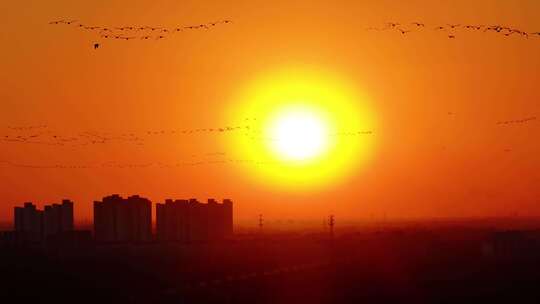 雁阵夕阳