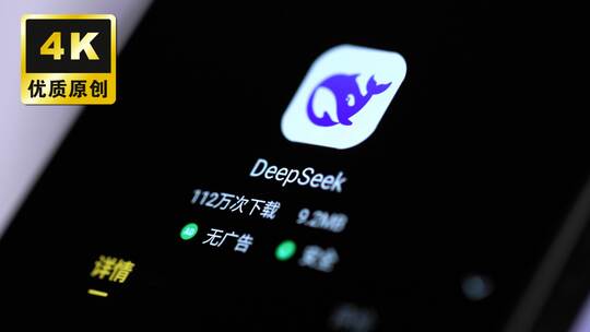 deepseek app下载国产AI软件