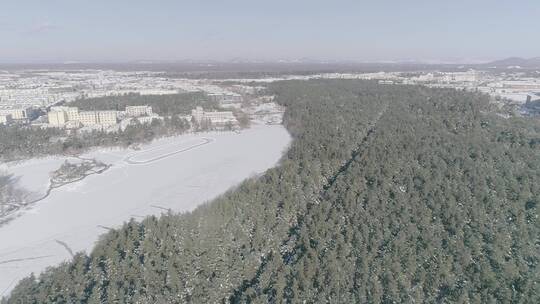 冬季长白山红松原始森林雪景航拍