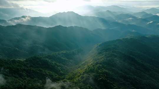 航拍山川原始森林云雾缭绕