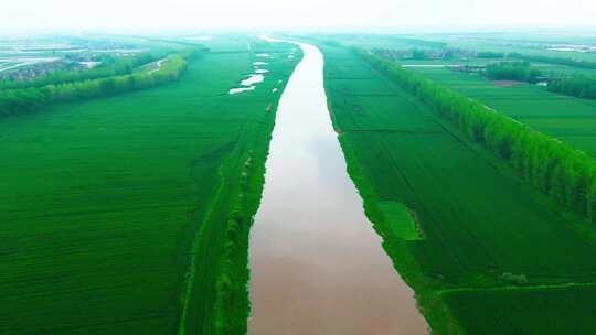 航拍乡村，麦田，河流，农村，江汉平原风光