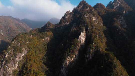 南阳老界岭秋景风光