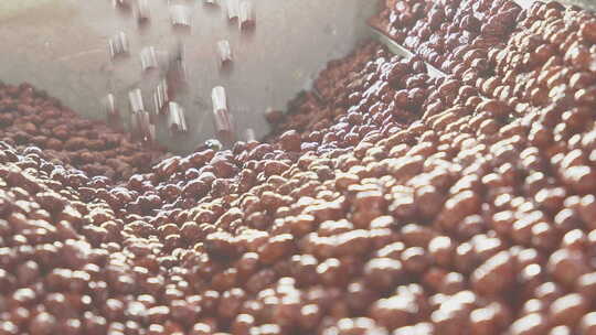 红枣生产流水线传输清洗