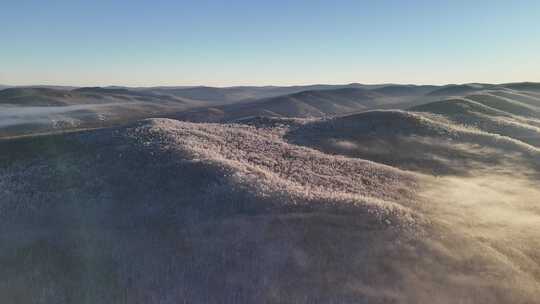 林海雪原云雾飘飘雾凇美景241122 (5)