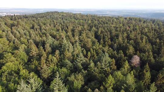 无人机拍摄森林