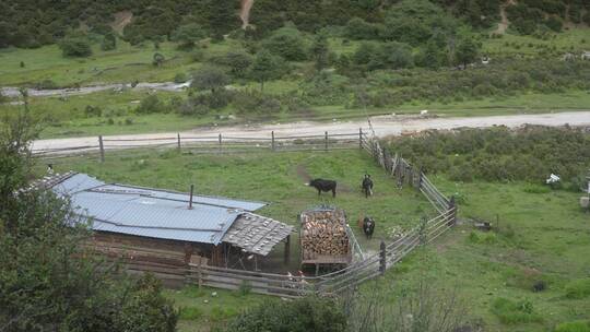 香格里拉牧场农场风光风景