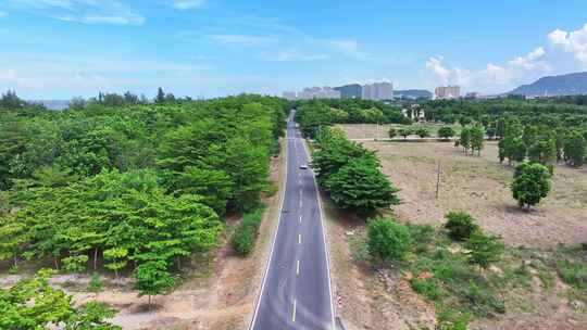 航拍一辆白色汽车行驶在森林道路上