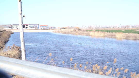 湖 湖边 户外 风景 倒影