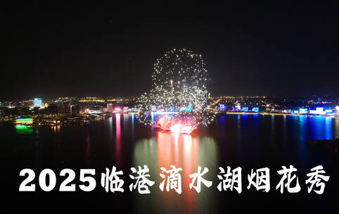 2025新年上海临港滴水湖烟花秀