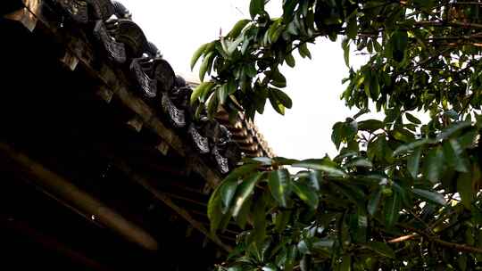 江南中式古典园林屋檐雨滴水滴