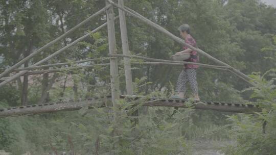 旧时农村的木桥log视频素材模板下载