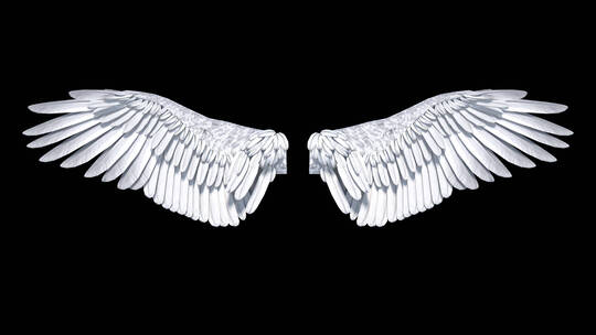 圣洁的天使白色羽毛翅膀特效合成2