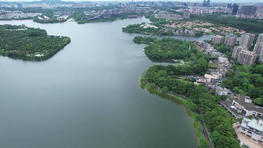 自然风景航拍城中湖泊湖水森林自然景色视频