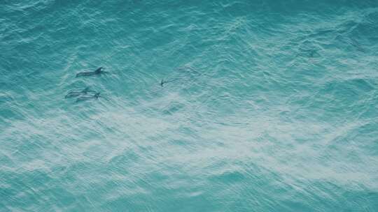 4K 大海水面波浪翻滚