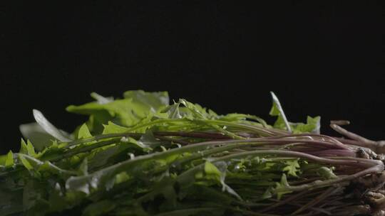 婆婆丁野菜LOG视频素材