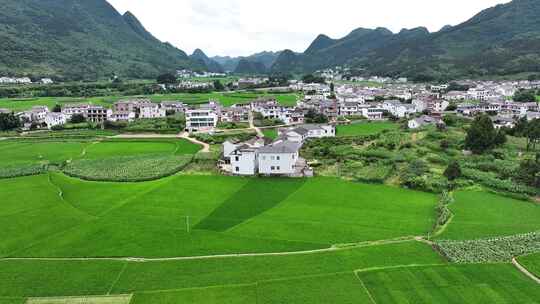 夏日万峰林乡村田园风光如诗如画