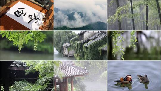 合集-谷雨节气 雨后山林自然景观