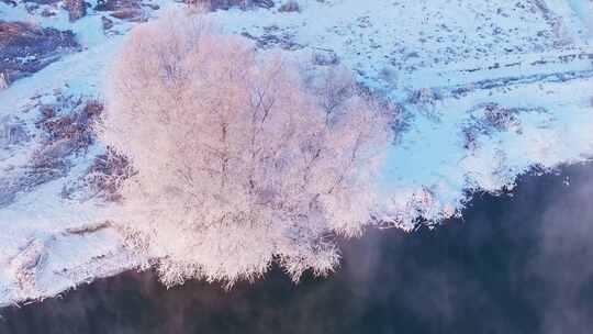 东北冬季雾凇树挂洁白唯美雪景航拍