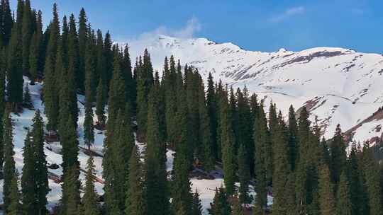 雪山丛林航拍