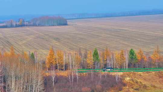 4k航拍车辆行驶在大兴安岭的道路上