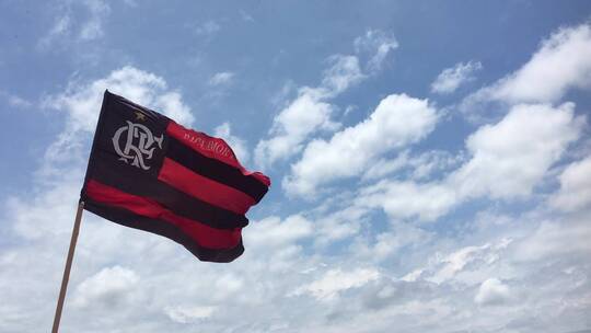 巴西里约热内卢足球俱乐部基地的队旗在空中飘扬视频素材模板下载