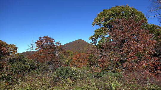 蓝天下的山野风景