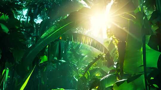 【正版4K合集】AI森林公园热带雨林视频素材模板下载