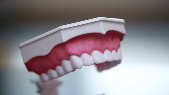 牙齿模型演示刷牙方法视频素材模板下载